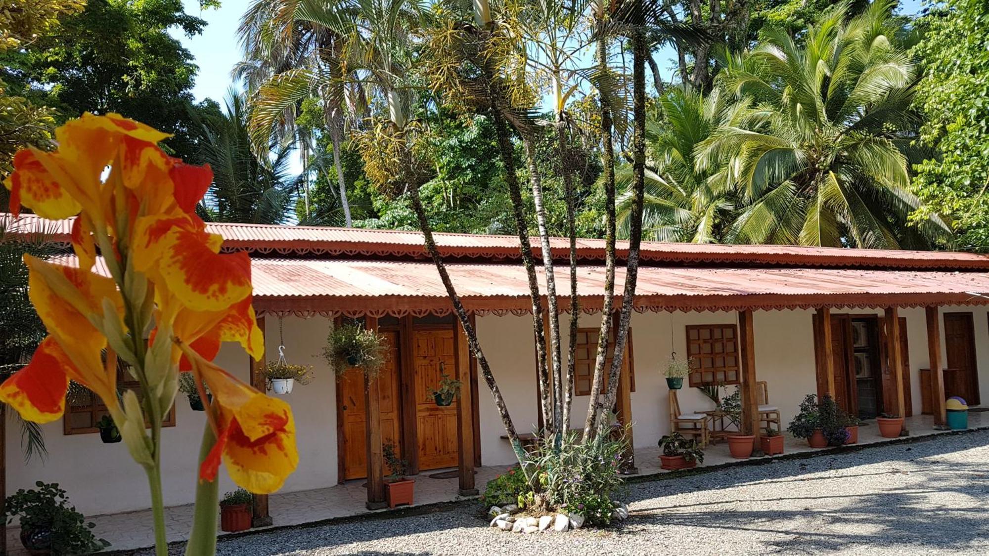 Yucca Beachfront Hotel Puerto Viejo de Talamanca Εξωτερικό φωτογραφία