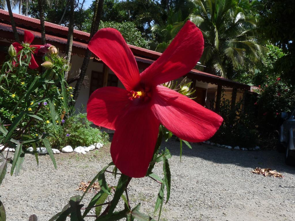 Yucca Beachfront Hotel Puerto Viejo de Talamanca Εξωτερικό φωτογραφία