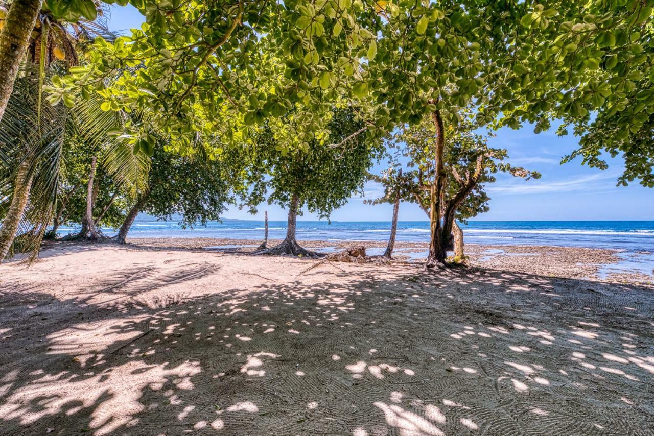 Yucca Beachfront Hotel Puerto Viejo de Talamanca Εξωτερικό φωτογραφία